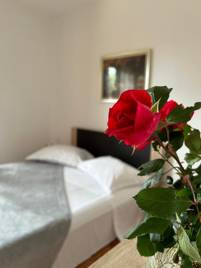 Guesthouse Klecak Cavtat Eksteriør bilde